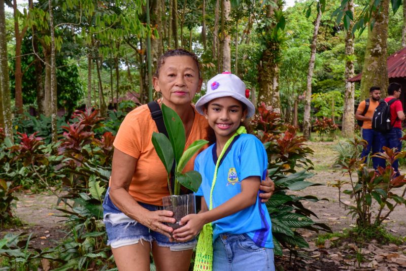 Semana do Meio Ambiente no Museu Parque Seringal na Cidade Nova Vlll