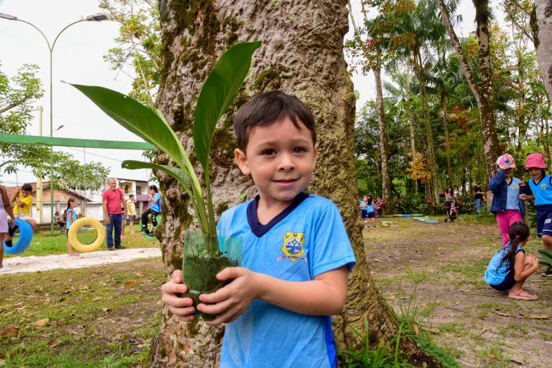 Semana do Meio Ambiente no Museu Parque Seringal na Cidade Nova Vlll