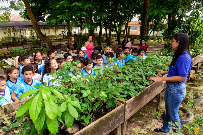 Semana do Meio Ambiente no Museu Parque Seringal na Cidade Nova Vlll