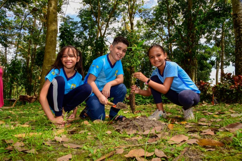 Semana do Meio Ambiente no Museu Parque Seringal na Cidade Nova Vlll