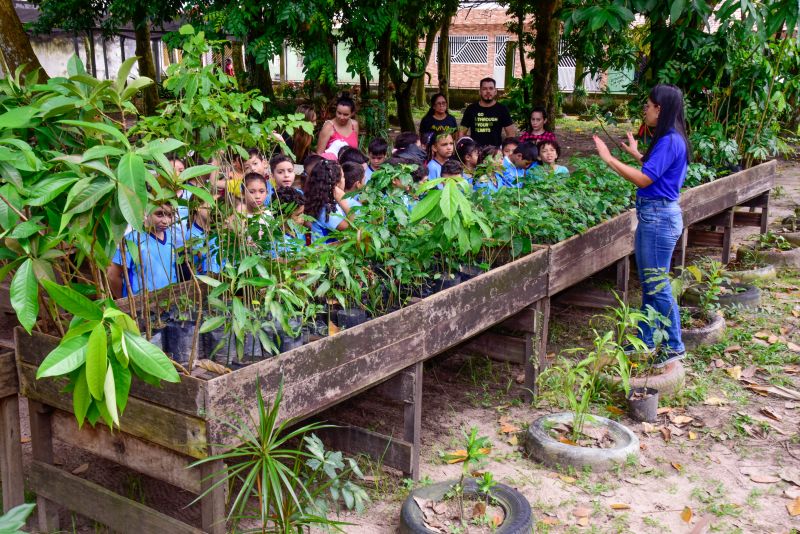 Semana do Meio Ambiente no Museu Parque Seringal na Cidade Nova Vlll