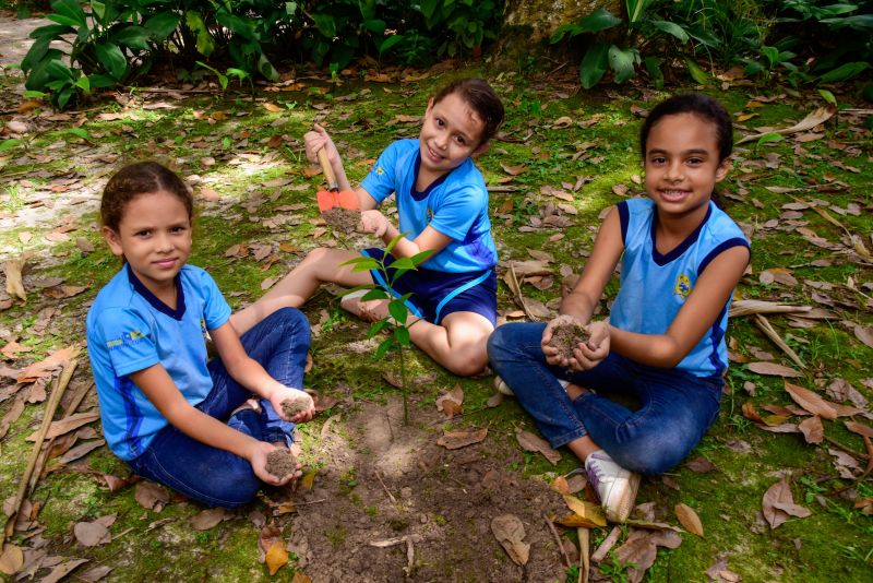 Semana do Meio Ambiente no Museu Parque Seringal na Cidade Nova Vlll