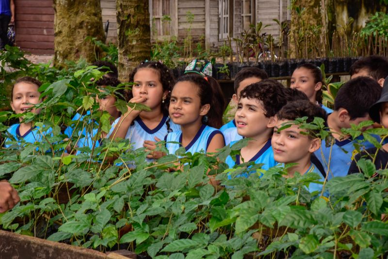 Semana do Meio Ambiente no Museu Parque Seringal na Cidade Nova Vlll