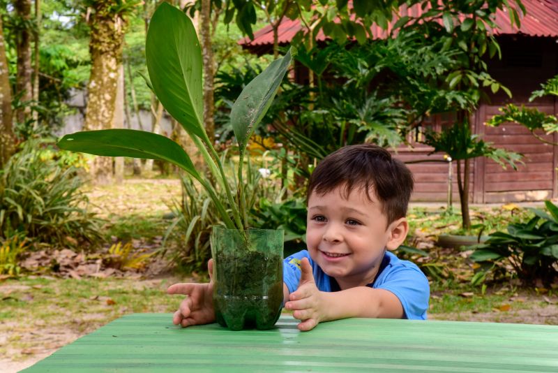 Semana do Meio Ambiente no Museu Parque Seringal na Cidade Nova Vlll