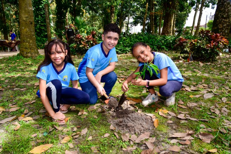 Semana do Meio Ambiente no Museu Parque Seringal na Cidade Nova Vlll