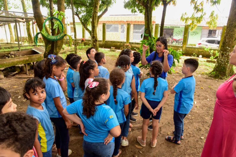 Semana do Meio Ambiente no Museu Parque Seringal na Cidade Nova Vlll