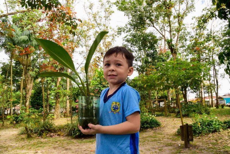 Semana do Meio Ambiente no Museu Parque Seringal na Cidade Nova Vlll