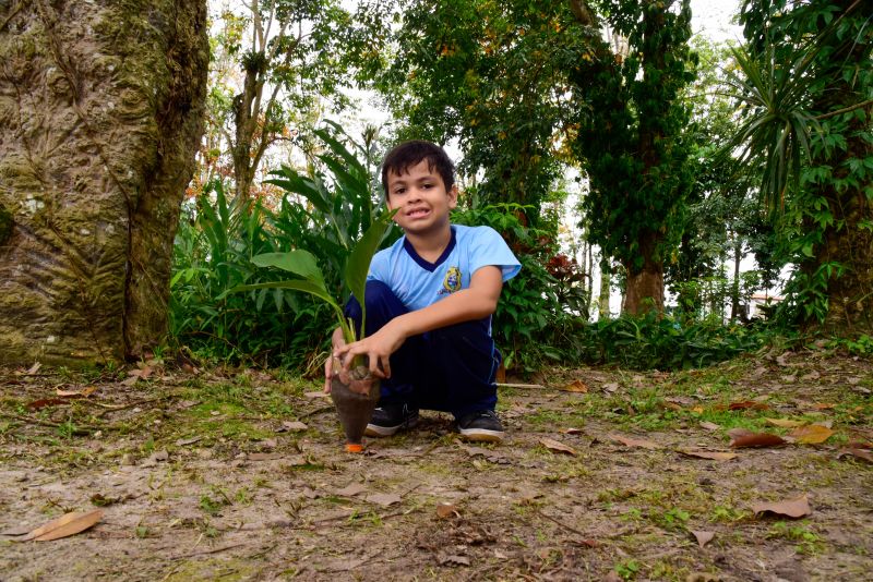 Semana do Meio Ambiente no Museu Parque Seringal na Cidade Nova Vlll