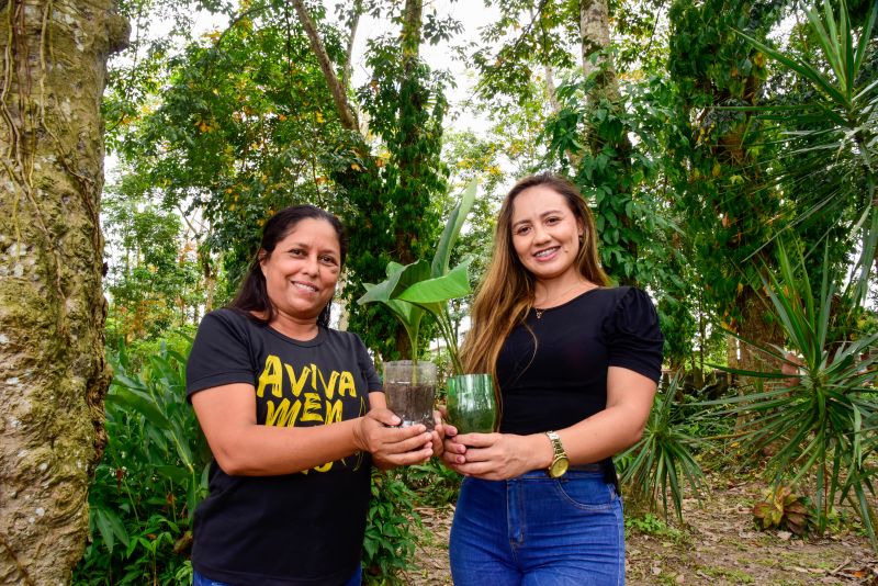 Semana do Meio Ambiente no Museu Parque Seringal na Cidade Nova Vlll