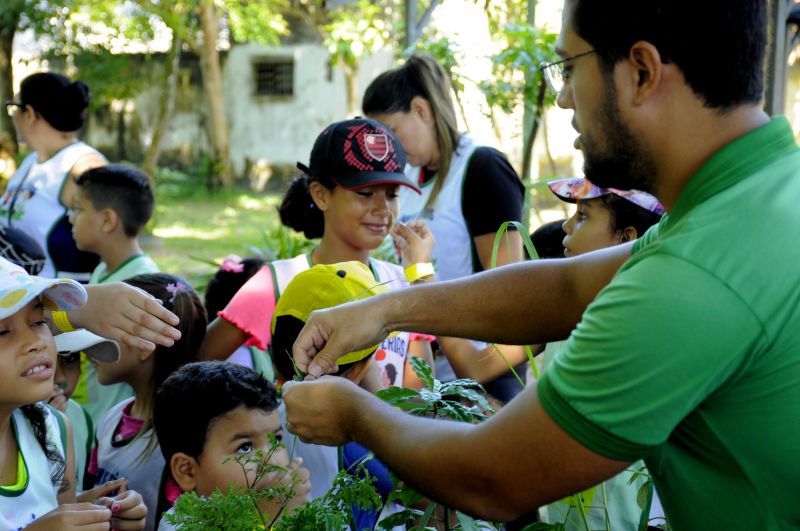 Colônia de Férias no Museu Parque Seringal