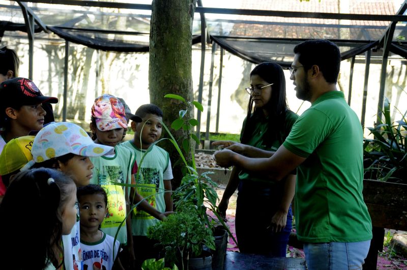 Colônia de Férias no Museu Parque Seringal