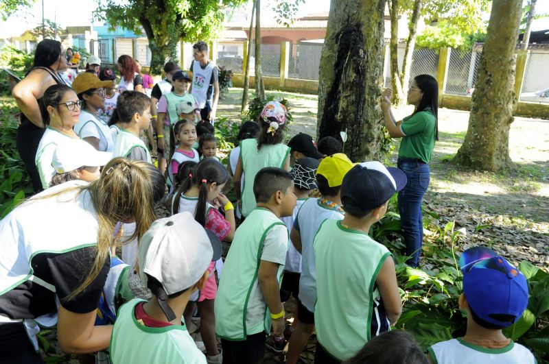 Colônia de Férias no Museu Parque Seringal