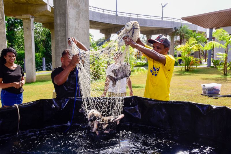 Feira da Agricultura Familiar e dos Povos Tradicionais no Parque Vila Maguary