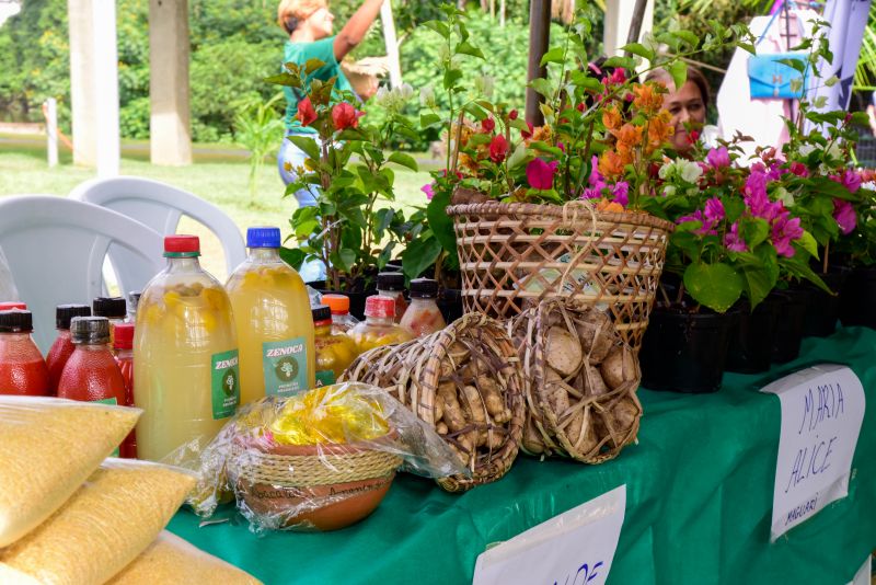 Feira da Agricultura Familiar e dos Povos Tradicionais no Parque Vila Maguary