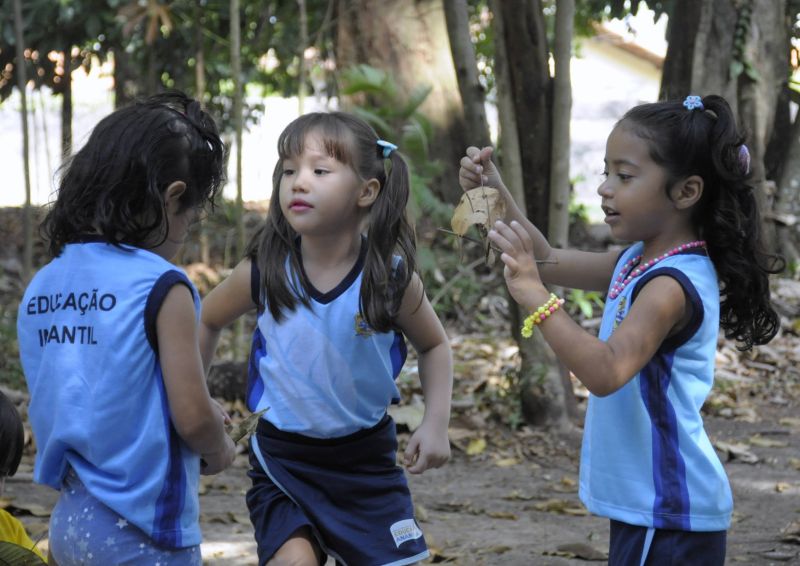 Atividades alusivas ao dia da árvore no Bosque Marajoara no conjunto Júlia Seffer