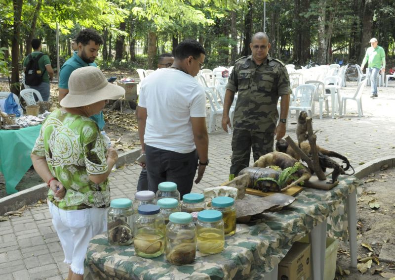 Atividades alusivas ao dia da árvore no Bosque Marajoara no conjunto Júlia Seffer