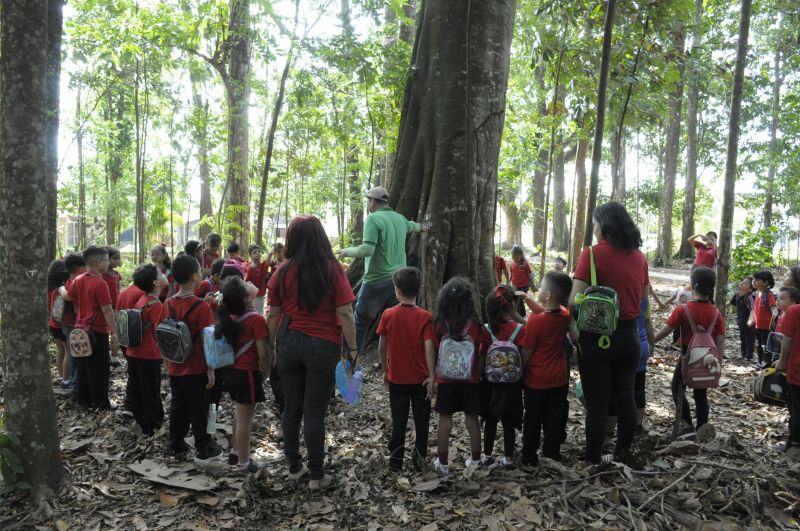 Atividades alusivas ao dia da árvore no Bosque Marajoara no conjunto Júlia Seffer