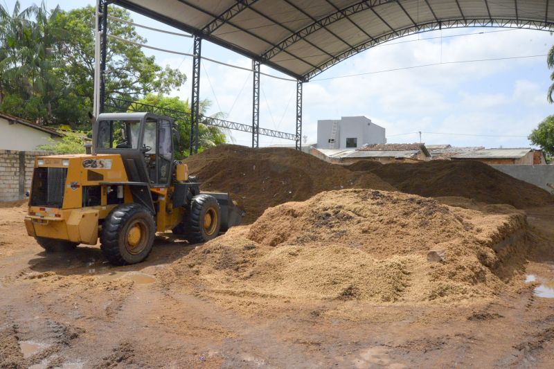 Reciclagem de caroço de Açaí