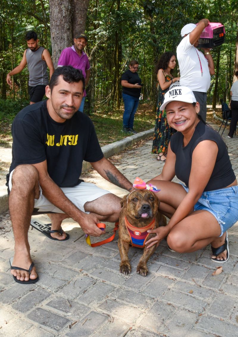 Vacinação de Pets, cães e gatos no Bosque Uirapuru no conjunto Julia Seffer