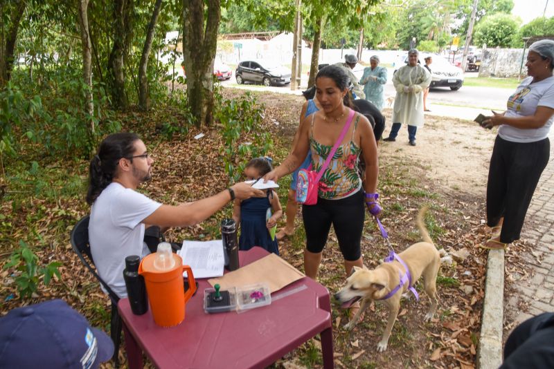 Vacinação de Pets, cães e gatos no Bosque Uirapuru no conjunto Julia Seffer