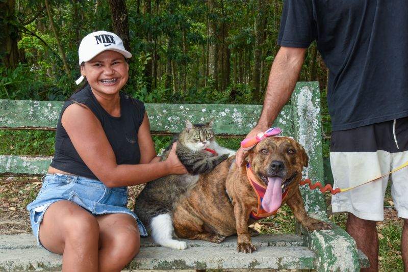 Vacinação de Pets, cães e gatos no Bosque Uirapuru no conjunto Julia Seffer