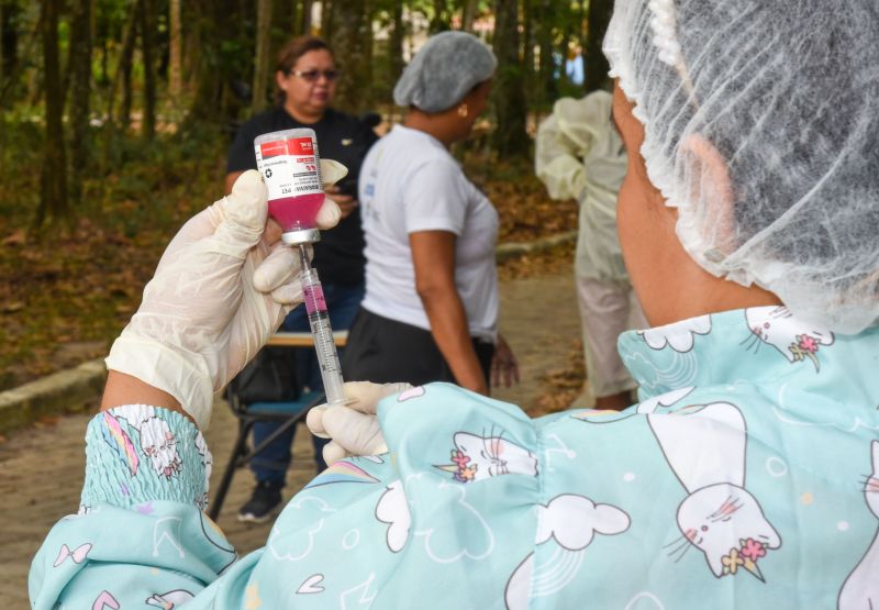 Vacinação de Pets, cães e gatos no Bosque Uirapuru no conjunto Julia Seffer