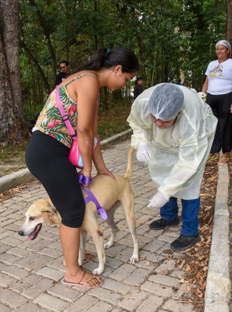 Vacinação de Pets, cães e gatos no Bosque Uirapuru no conjunto Julia Seffer