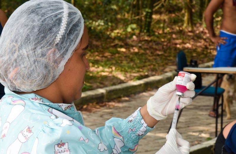 Vacinação de Pets, cães e gatos no Bosque Uirapuru no conjunto Julia Seffer