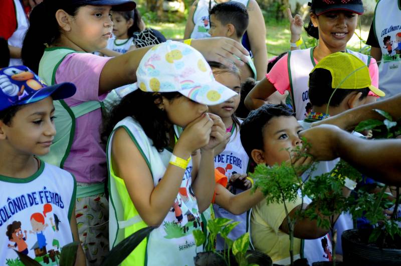 Alunos participando da atividade de percepção. 