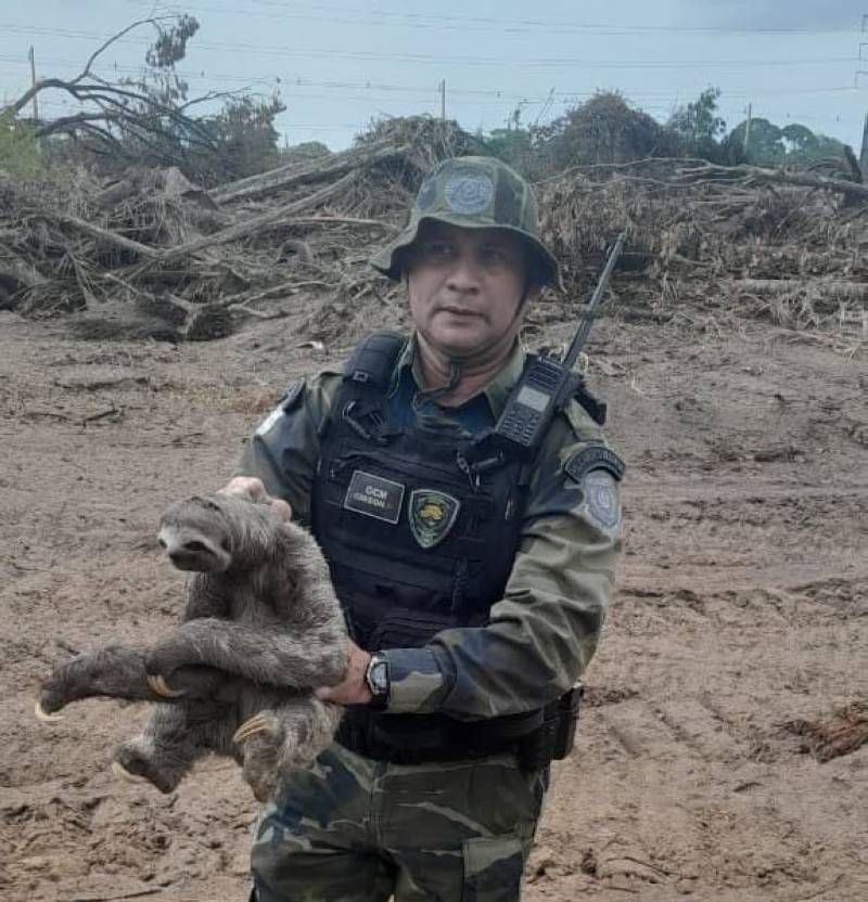 Agente do grupamento ambiental da Guarda Civil Municipal de Ananindeua.