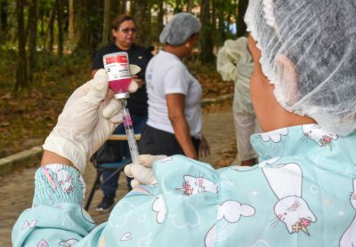 galeria: Vacinação de Pets, cães e gatos no Bosque Uirapuru no conjunto Julia Seffer