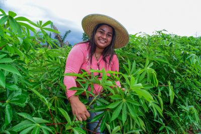 notícia: Ananindeua inicia a campanha de recadastramento de produtores rurais no Programa Territórios Sustentáveis.