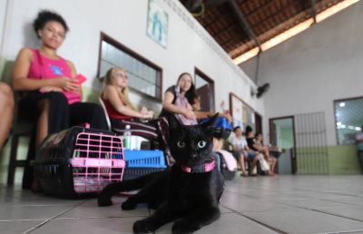 notícia: Castramóvel realiza semana de atendimento para os Pets no Maguari