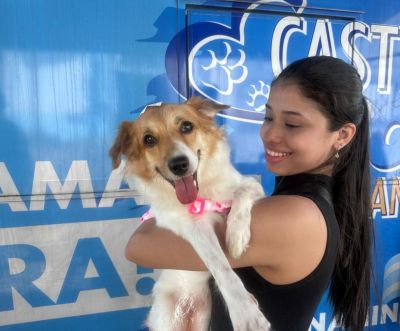 notícia: Programa PET amigo castra cães e gatos gratuitamente no bairro do Icuí Guajará com ação do Castramóvel