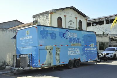 notícia: Cães e gatos são castrados gratuitamente no Atalaia pelo programa Pet Amigo 