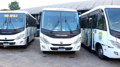 notícia: Ananindeua Moderniza Frota de Ônibus e Oferece Transporte de Qualidade