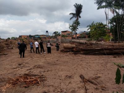 notícia: Desmatamento Ilegal em Ananindeua: Prefeitura toma medidas contra supressão vegetal em desacordo com o autorizado