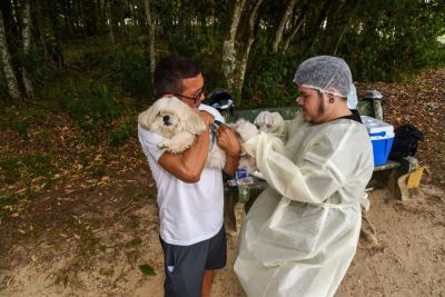 notícia: Tutores de pets e felinos participam em massa da vacinação antirrábica em Ananindeua