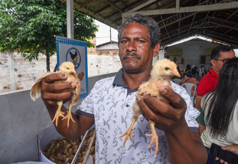 Entrega de matrizes de aves e ração para Agricultores e Quilombos das Ilhas de Ananindeua