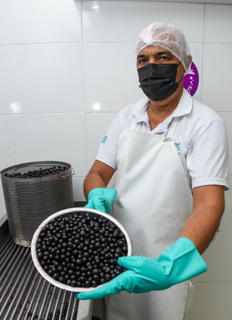 Imagens da capacitação para batedores de açaí de Ananindeua