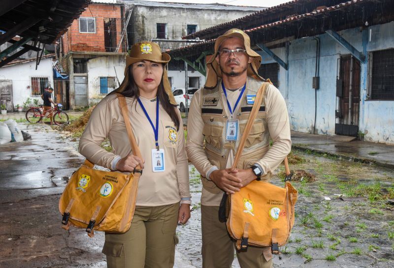 Agentes no combate a dengue