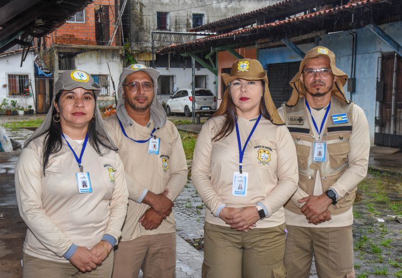 Agentes no combate a dengue