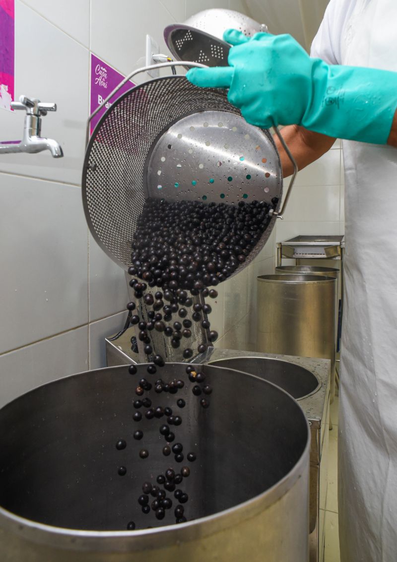 Boas práticas na manipulação do açaí, aula prática de beneficiamento na casa do açaí.