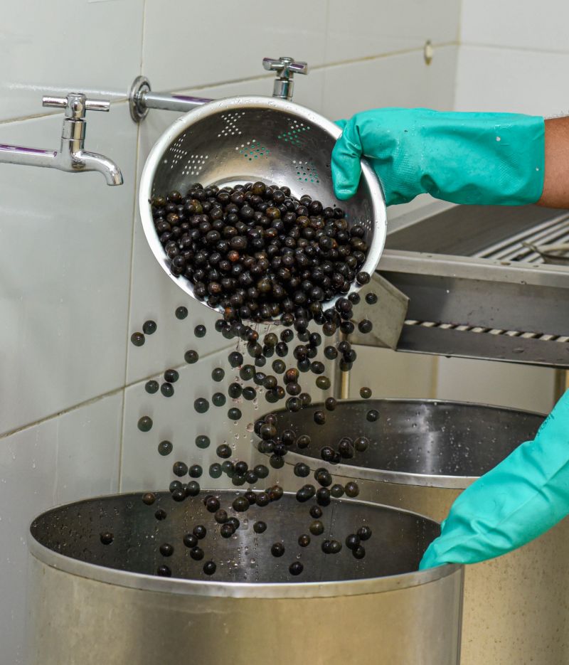 Boas práticas na manipulação do açaí, aula prática de beneficiamento na casa do açaí.