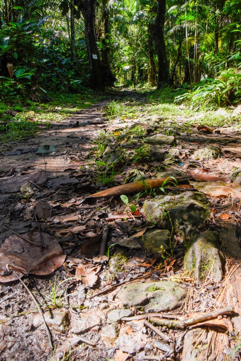 2ª Ecotrilha Ambiental no Quilombo Do Abacatal