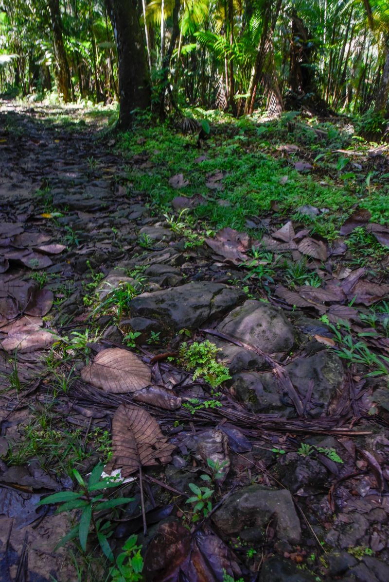 2ª Ecotrilha Ambiental no Quilombo Do Abacatal