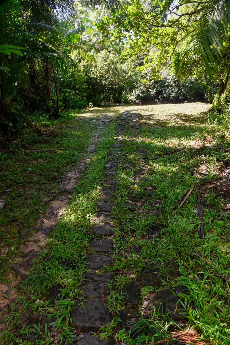 2ª Ecotrilha Ambiental no Quilombo Do Abacatal