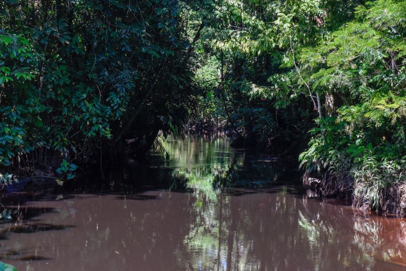 2ª Ecotrilha Ambiental no Quilombo Do Abacatal