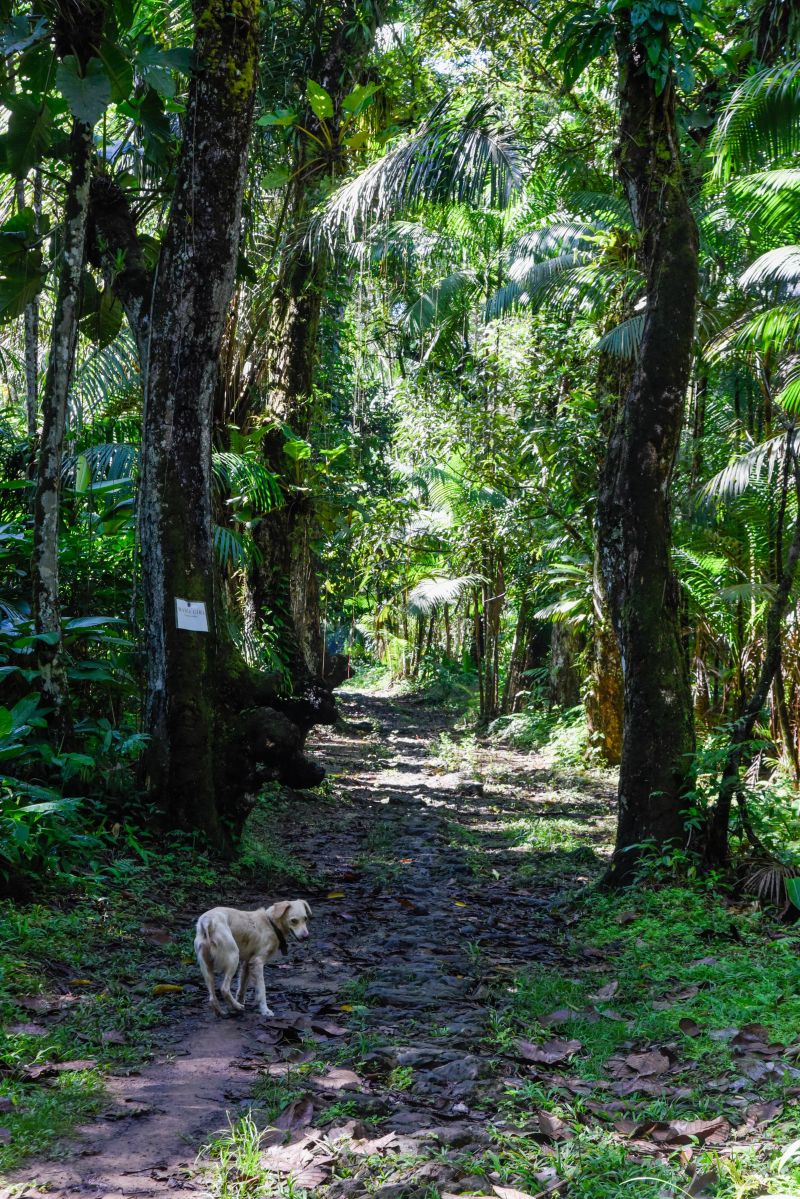 2ª Ecotrilha Ambiental no Quilombo Do Abacatal
