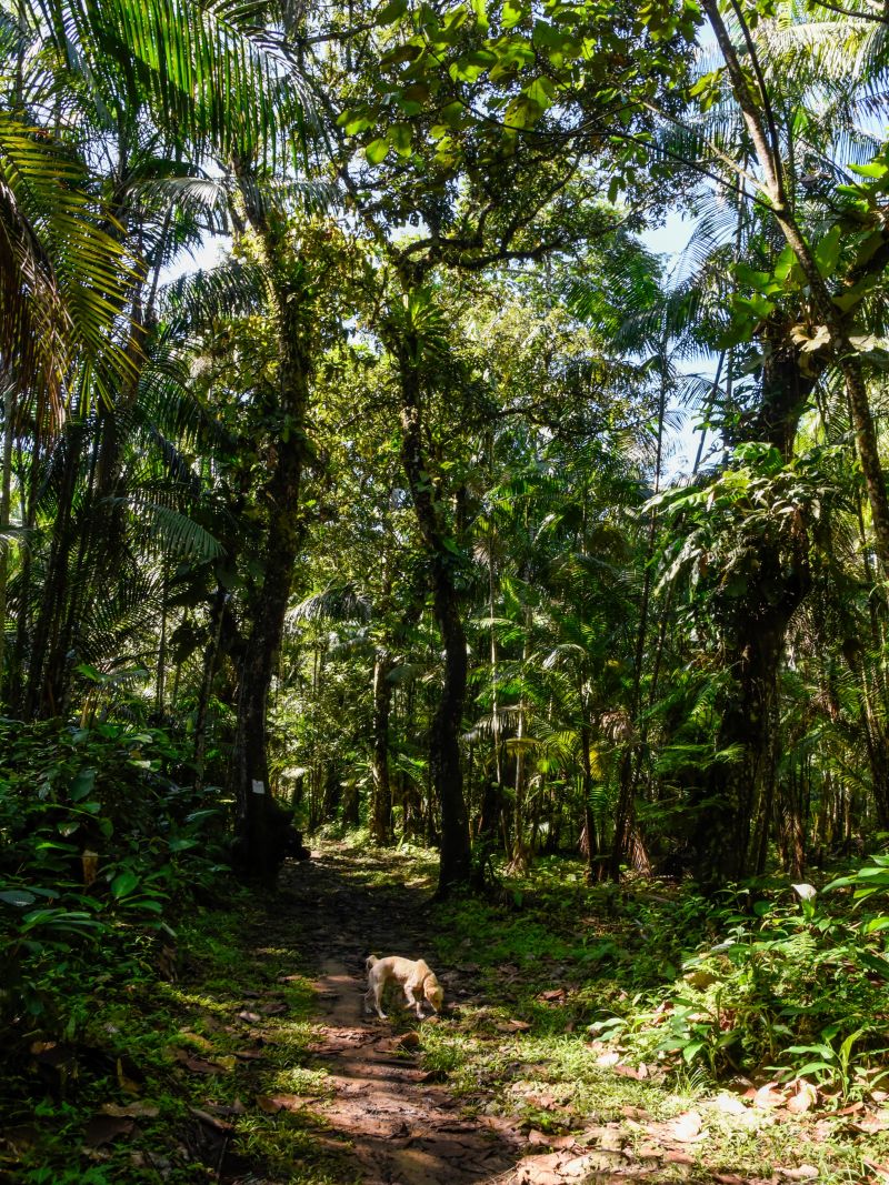 2ª Ecotrilha Ambiental no Quilombo Do Abacatal